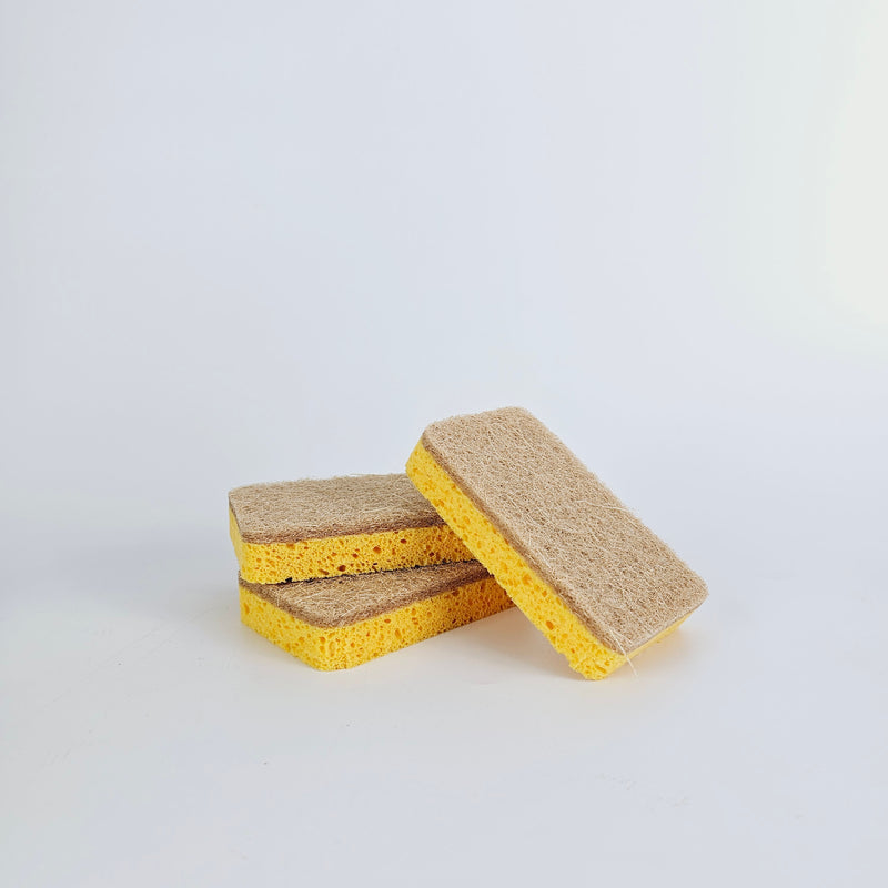 3x Öko Spülschwamm